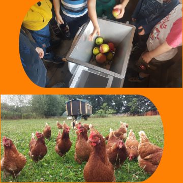 Jahreskurs 2026 ab 6 Jahre