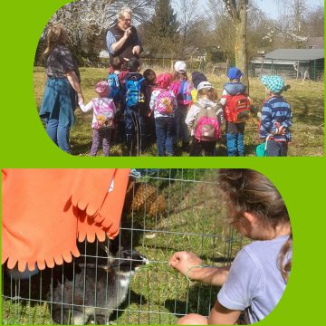 Sommer 2026 Ferienspiele 6. Woche