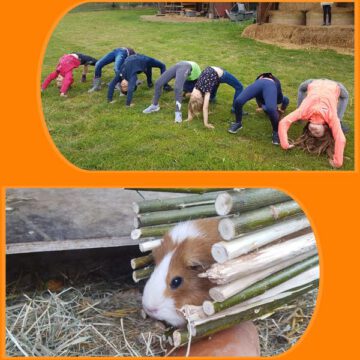 Jahreskurs 2026 ab 4 Jahre