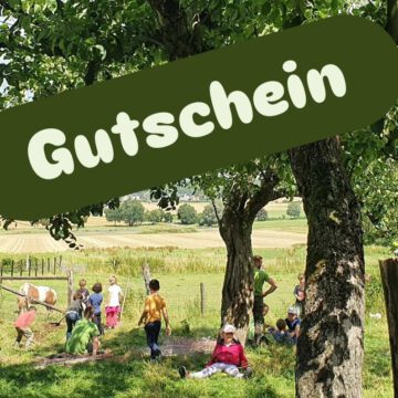 Gutschein Kinderaktionen Wert 100 Euro