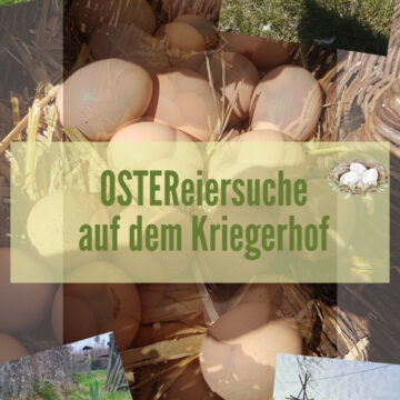OsterEiersuche 10-13 Uhr