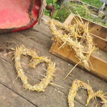 Muttertag auf dem Bauernhof